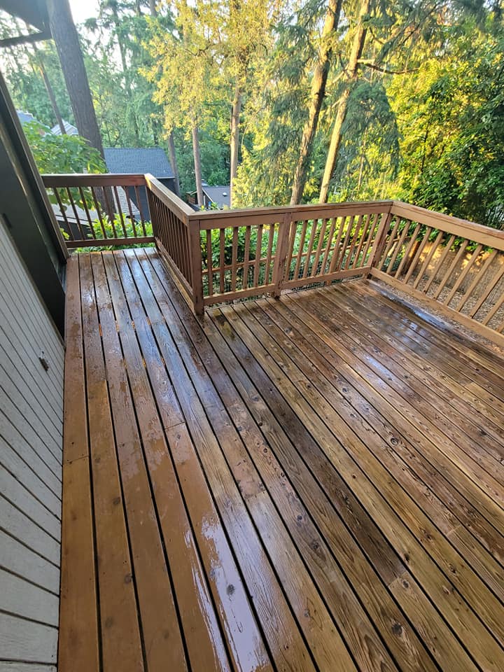 Deck Painting Project 2/4